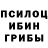 Галлюциногенные грибы прущие грибы Radik Gazizulin