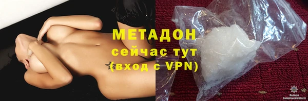 прущие грибы Осинники