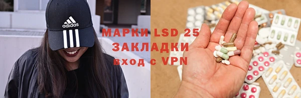 прущие грибы Осинники