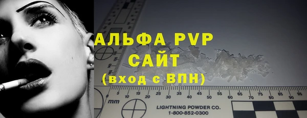 прущие грибы Осинники