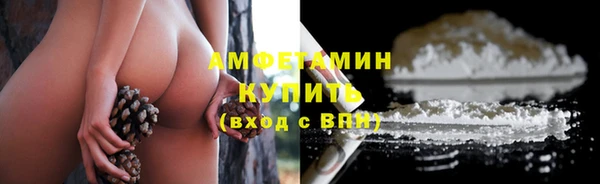 прущие грибы Осинники