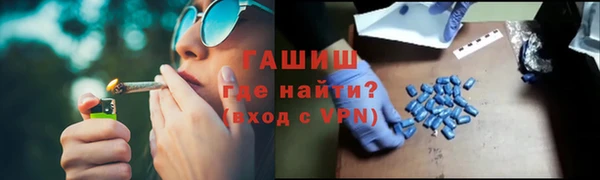 прущие грибы Осинники