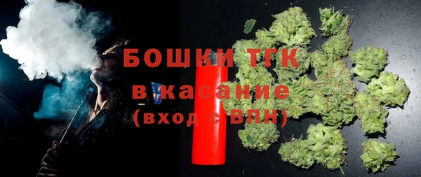 прущие грибы Осинники