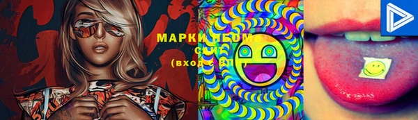 прущие грибы Осинники
